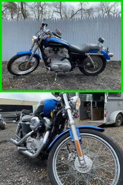 2004 Harley-Davidson Sportster 883 Custom Blue for sale ...